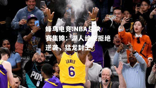 蜂鸟电竞:NBA总决赛集锦：湖人绝杀拒绝逆袭，猛龙封王